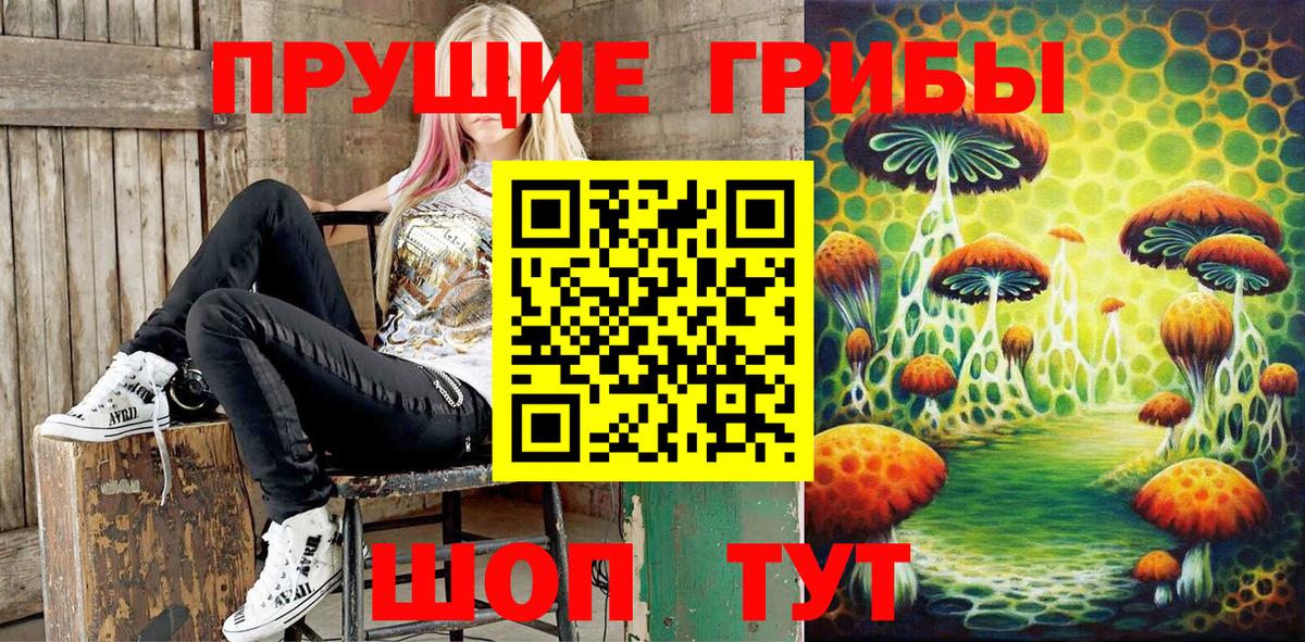 Псилоцибиновые грибы Magic Shrooms  закладки  Сергиев Посад  Вход с VPN 